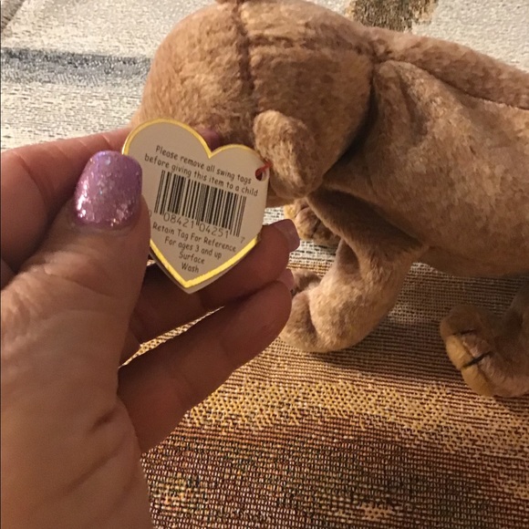 TY beanie babies Pecan bear brown BD 4/15/99. Clean bad protected - Picture 6 of 8